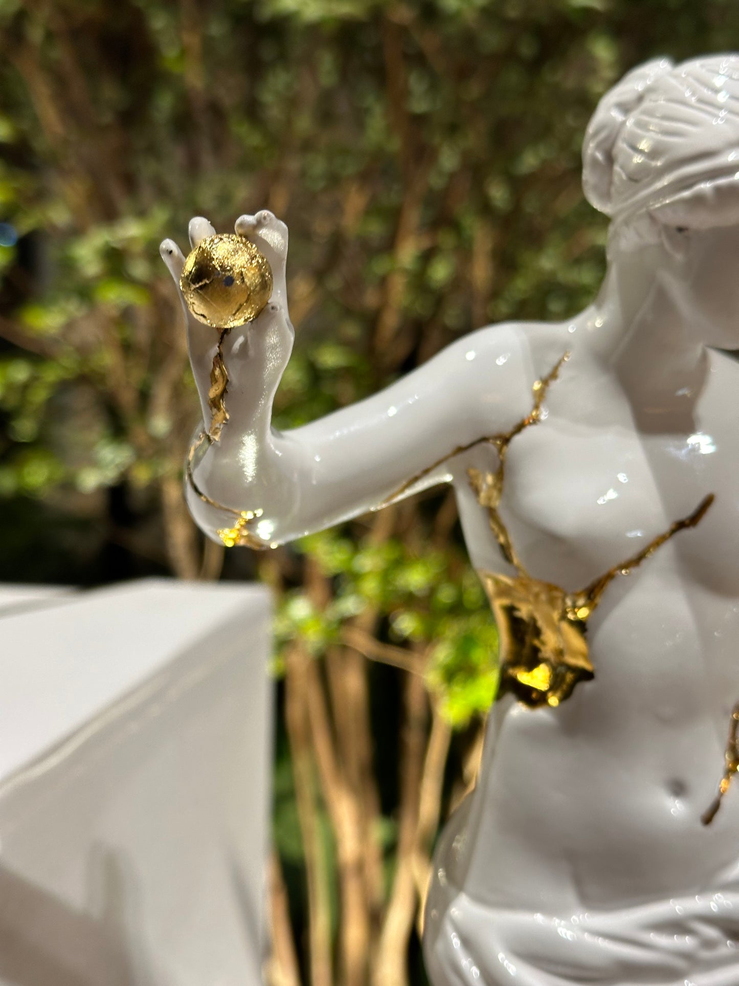 ROBERT FARAH (Tenista Profesional)