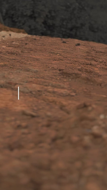 INVITACIONES VOICES OF THE DESERT (2024)